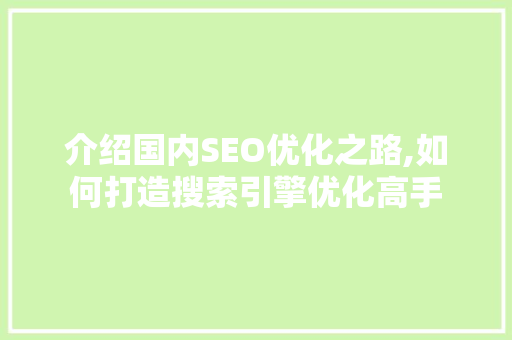 介绍国内SEO优化之路,如何打造搜索引擎优化高手