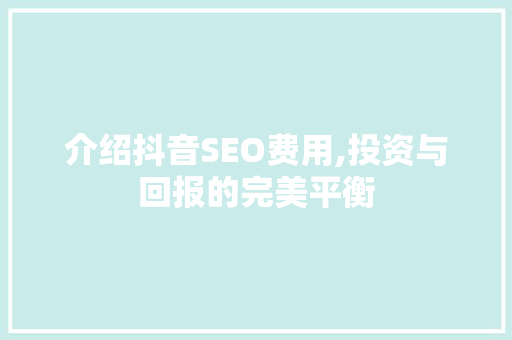 介绍抖音SEO费用,投资与回报的完美平衡