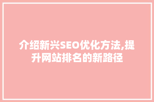 介绍新兴SEO优化方法,提升网站排名的新路径