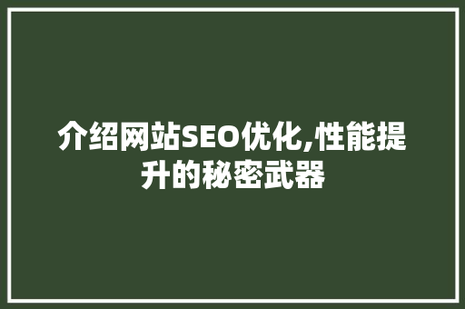 介绍网站SEO优化,性能提升的秘密武器