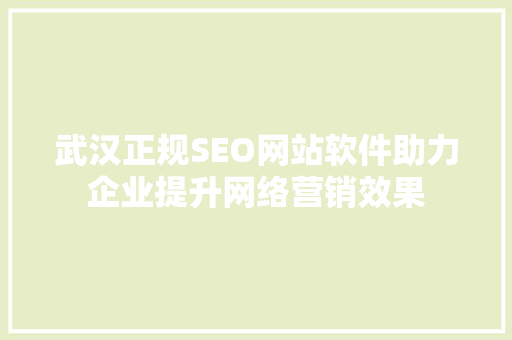 武汉正规SEO网站软件助力企业提升网络营销效果