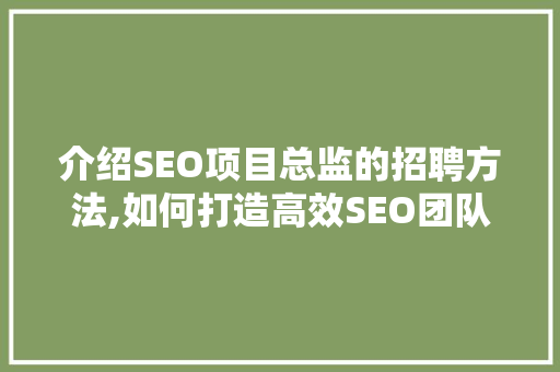 介绍SEO项目总监的招聘方法,如何打造高效SEO团队