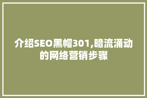 介绍SEO黑帽301,暗流涌动的网络营销步骤