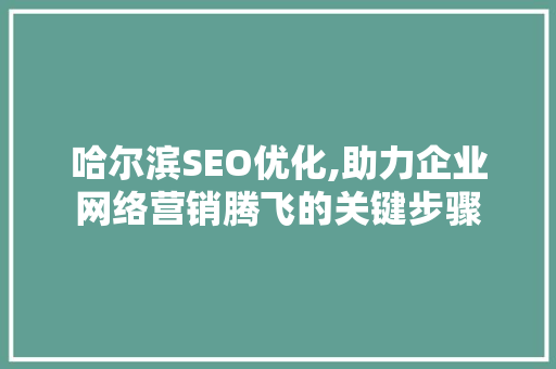 哈尔滨SEO优化,助力企业网络营销腾飞的关键步骤