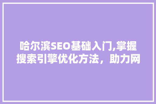 哈尔滨SEO基础入门,掌握搜索引擎优化方法，助力网站排名提升