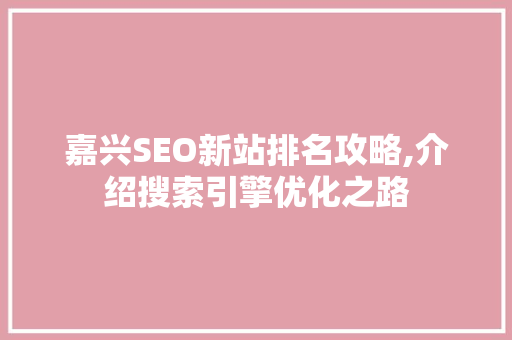 嘉兴SEO新站排名攻略,介绍搜索引擎优化之路