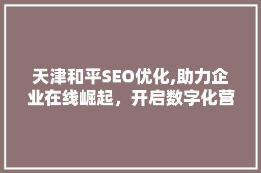 天津和平SEO优化,助力企业在线崛起，开启数字化营销新篇章