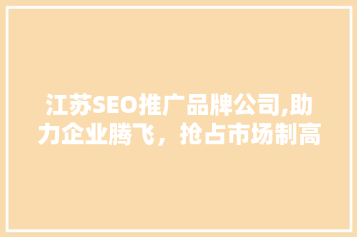 江苏SEO推广品牌公司,助力企业腾飞，抢占市场制高点