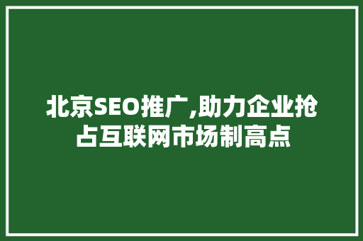 北京SEO推广,助力企业抢占互联网市场制高点