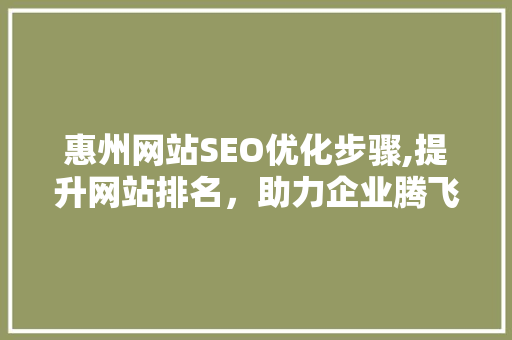 惠州网站SEO优化步骤,提升网站排名，助力企业腾飞