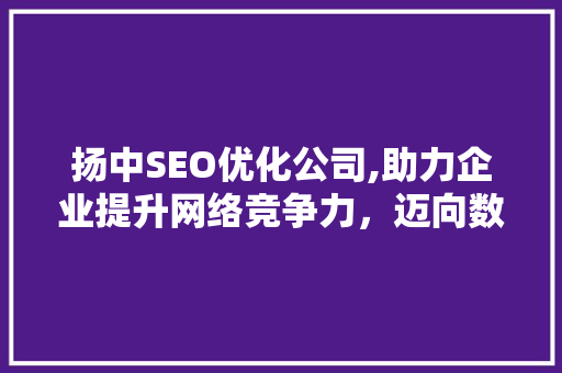 扬中SEO优化公司,助力企业提升网络竞争力，迈向数字时代