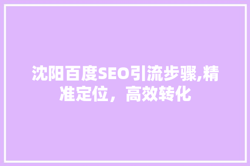 沈阳百度SEO引流步骤,精准定位，高效转化