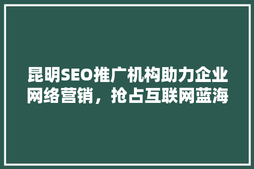 昆明SEO推广机构助力企业网络营销，抢占互联网蓝海市场