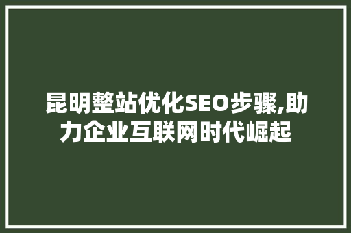 昆明整站优化SEO步骤,助力企业互联网时代崛起