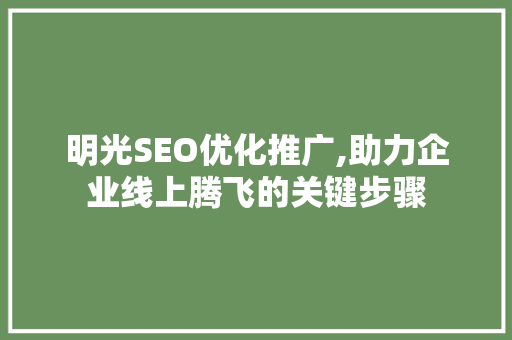 明光SEO优化推广,助力企业线上腾飞的关键步骤