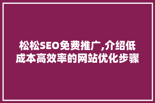 松松SEO免费推广,介绍低成本高效率的网站优化步骤
