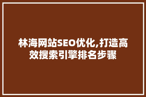 林海网站SEO优化,打造高效搜索引擎排名步骤