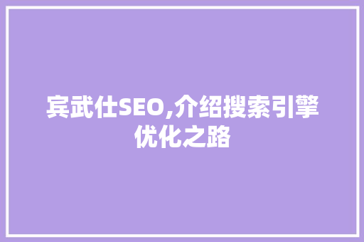 宾武仕SEO,介绍搜索引擎优化之路