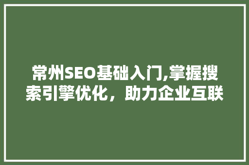 常州SEO基础入门,掌握搜索引擎优化，助力企业互联网发展
