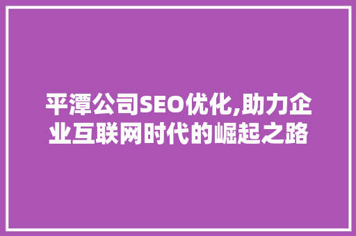 平潭公司SEO优化,助力企业互联网时代的崛起之路