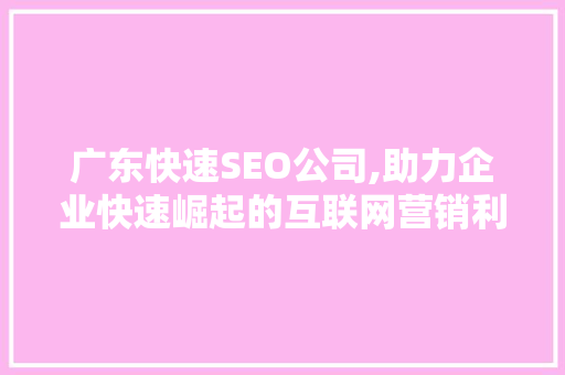 广东快速SEO公司,助力企业快速崛起的互联网营销利器