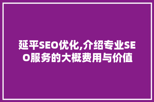 延平SEO优化,介绍专业SEO服务的大概费用与价值