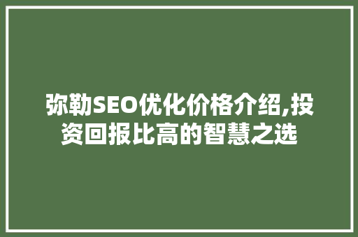 弥勒SEO优化价格介绍,投资回报比高的智慧之选