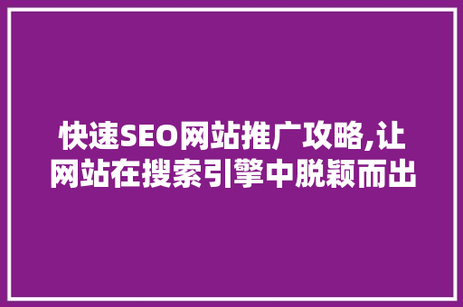 快速SEO网站推广攻略,让网站在搜索引擎中脱颖而出