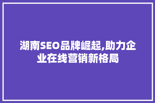 湖南SEO品牌崛起,助力企业在线营销新格局