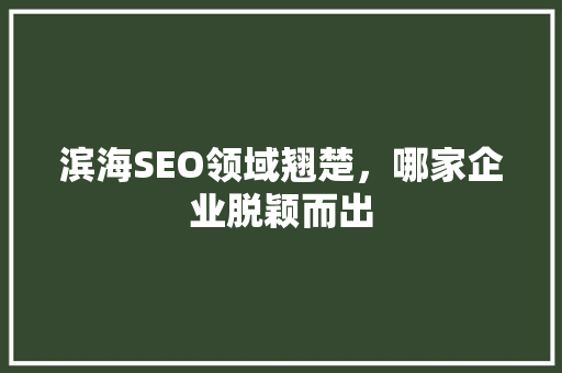 滨海SEO领域翘楚，哪家企业脱颖而出