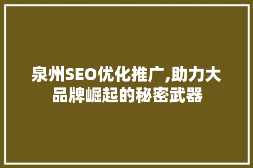 泉州SEO优化推广,助力大品牌崛起的秘密武器