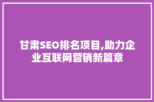 甘肃SEO排名项目,助力企业互联网营销新篇章