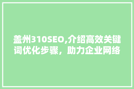 盖州310SEO,介绍高效关键词优化步骤，助力企业网络营销