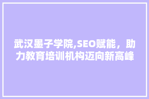 武汉墨子学院,SEO赋能，助力教育培训机构迈向新高峰