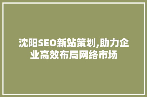 沈阳SEO新站策划,助力企业高效布局网络市场