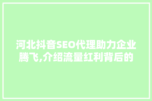 河北抖音SEO代理助力企业腾飞,介绍流量红利背后的秘密  第1张