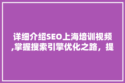 详细介绍SEO上海培训视频,掌握搜索引擎优化之路，提升网站流量与排名