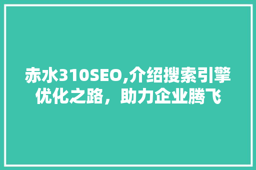 赤水310SEO,介绍搜索引擎优化之路，助力企业腾飞