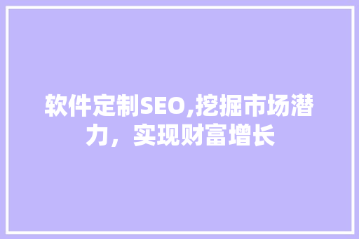 软件定制SEO,挖掘市场潜力，实现财富增长