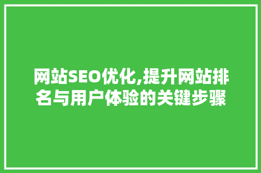 网站SEO优化,提升网站排名与用户体验的关键步骤