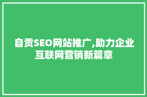自贡SEO网站推广,助力企业互联网营销新篇章
