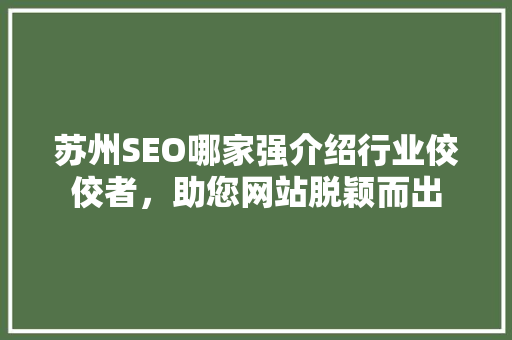 苏州SEO哪家强介绍行业佼佼者，助您网站脱颖而出