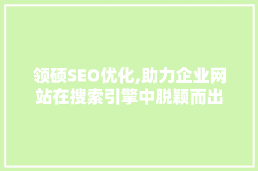 领硕SEO优化,助力企业网站在搜索引擎中脱颖而出