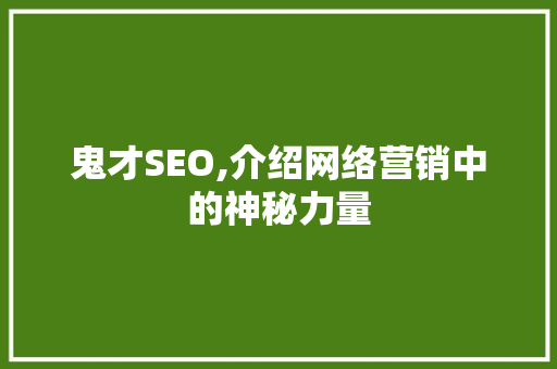 鬼才SEO,介绍网络营销中的神秘力量