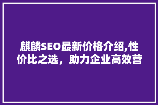 麒麟SEO最新价格介绍,性价比之选，助力企业高效营销