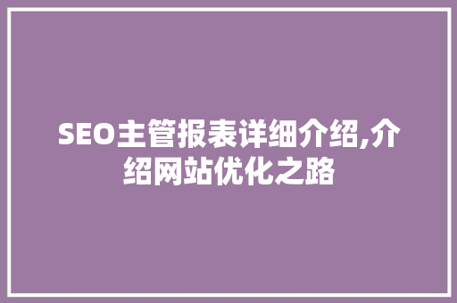 SEO主管报表详细介绍,介绍网站优化之路
