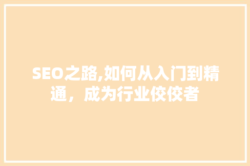 SEO之路,如何从入门到精通，成为行业佼佼者