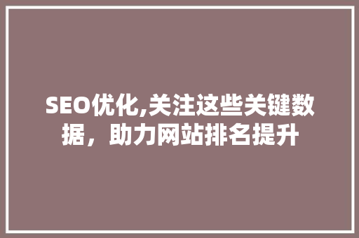 SEO优化,关注这些关键数据，助力网站排名提升