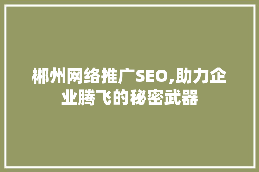 郴州网络推广SEO,助力企业腾飞的秘密武器