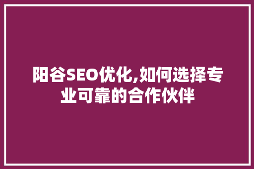阳谷SEO优化,如何选择专业可靠的合作伙伴